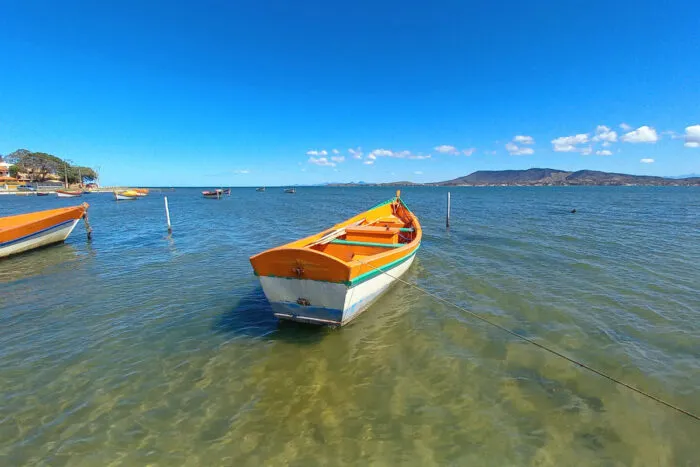 são pedro da aldeia festival