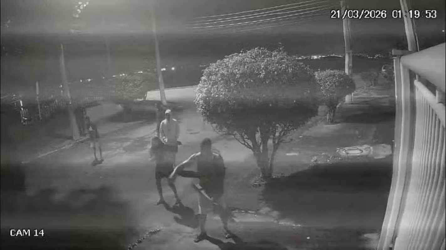 Seis homens são denunciados por crimes ambientais e maus-tratos após agressão a capivara no Rio