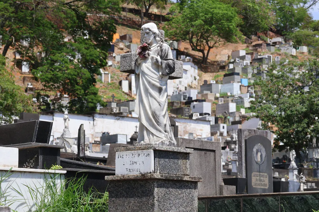 Projeto de lei para sepultamento de animais de estimação em cemitérios de Juiz de Fora é aprovado pela Câmara