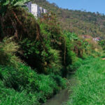 corrego sao pedro leonardo costa 2025