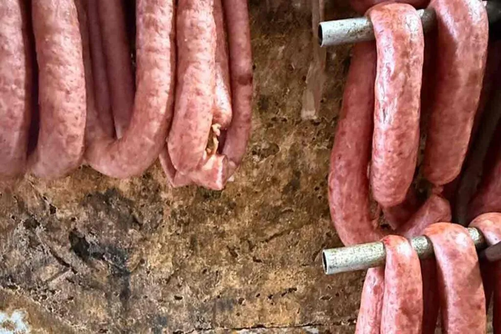 Cerca de 2,4 toneladas de alimentos impróprios para consumo são apreendidos em açougue da Zona Nordeste 2 ACOUGUE