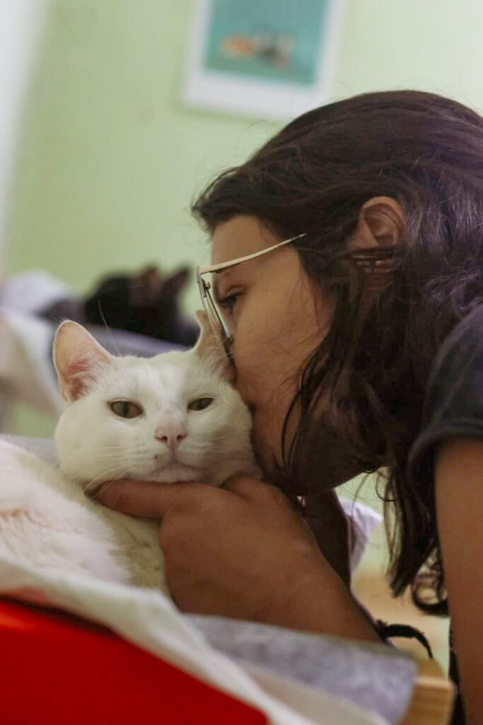 Animais vítimas das chuvas de fevereiro aguardam adoção responsável 5 Casa dos Gatos 3