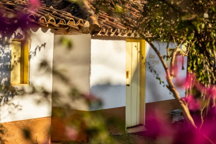 Ibiti Projeto é o único brasileiro no Global Vision Awards 2026 5 Destaque Tribuna de Minas 3 1