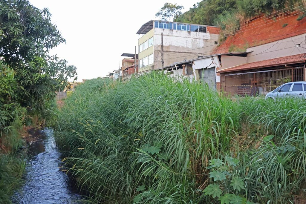 Mato alto e falta de iluminação causam insegurança na Zona Norte 3 Mato alto e falta de iluminação trazem insegurança em rua da Zona Norte