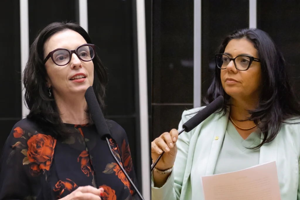 Fim da Escala 6x1: como votaram as deputadas federais que têm base eleitoral em Juiz de Fora? 1 Votacao PEC 6x1 Ione e Ana Pimentel 1