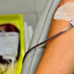 Novas regras para doação de sangue entram em vigor em outubro; veja o que muda 12 hemominas doacao de sangue