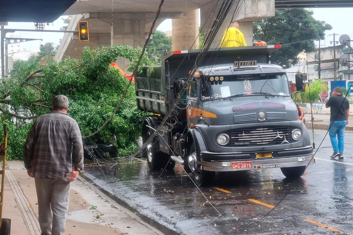 queda-de-ávore-juiz-de-fora-chuva-forte