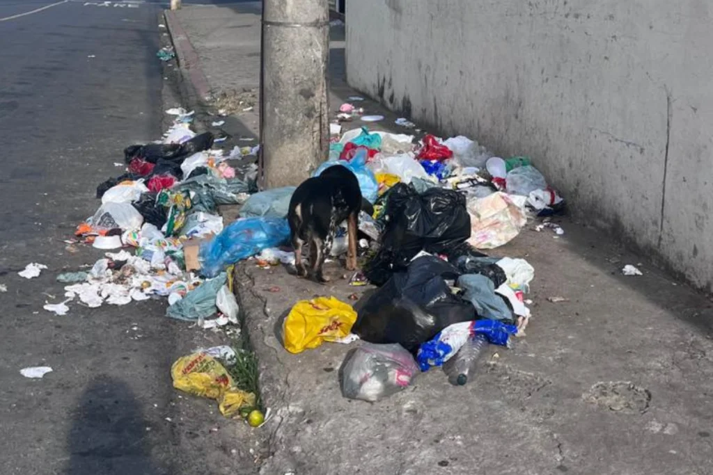 Acúmulo de lixo em rua do bairro Santa Cruz gera prejuízos a população 1 tornado parana 4
