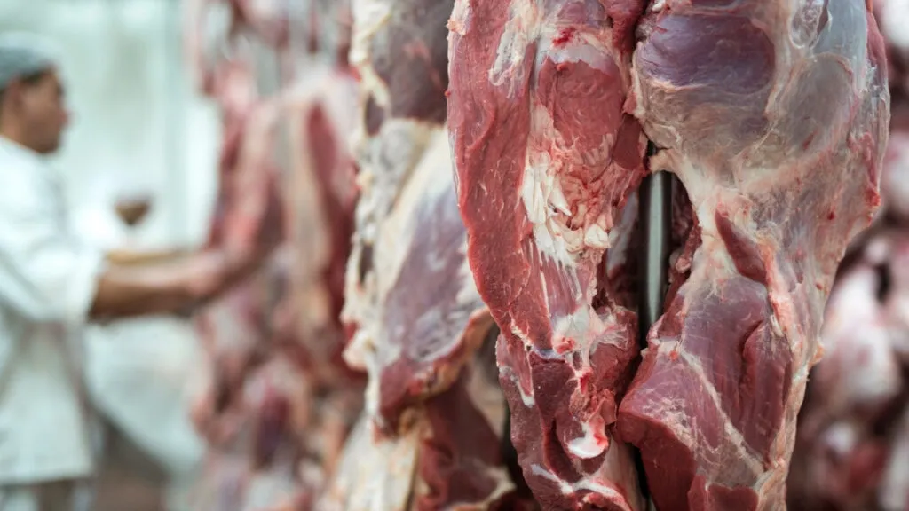União Europeia barra oficialmente a carne brasileira a partir de setembro por uso excessivo de antibióticos