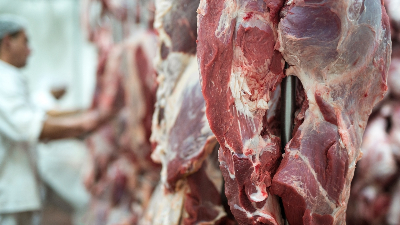 União Europeia barra oficialmente a carne brasileira a partir de setembro por uso excessivo de antibióticos