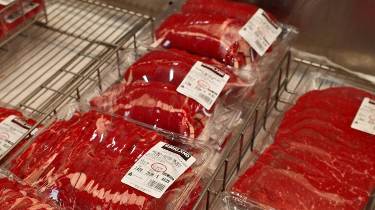Você compra carne que não vem de animais e nem imagina a origem
