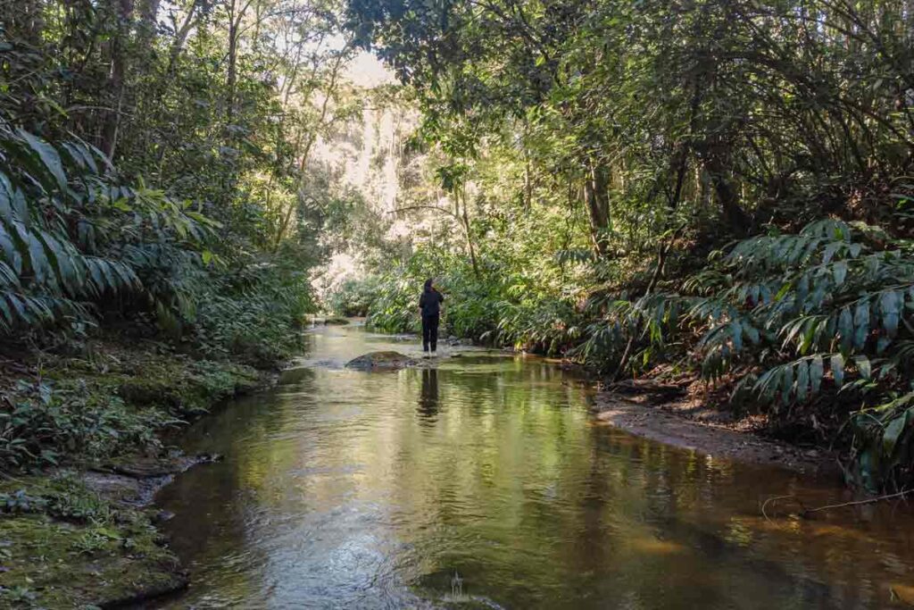 Livro resgata histórias e paisagens do berço do Rio Paraibuna em Antônio Carlos