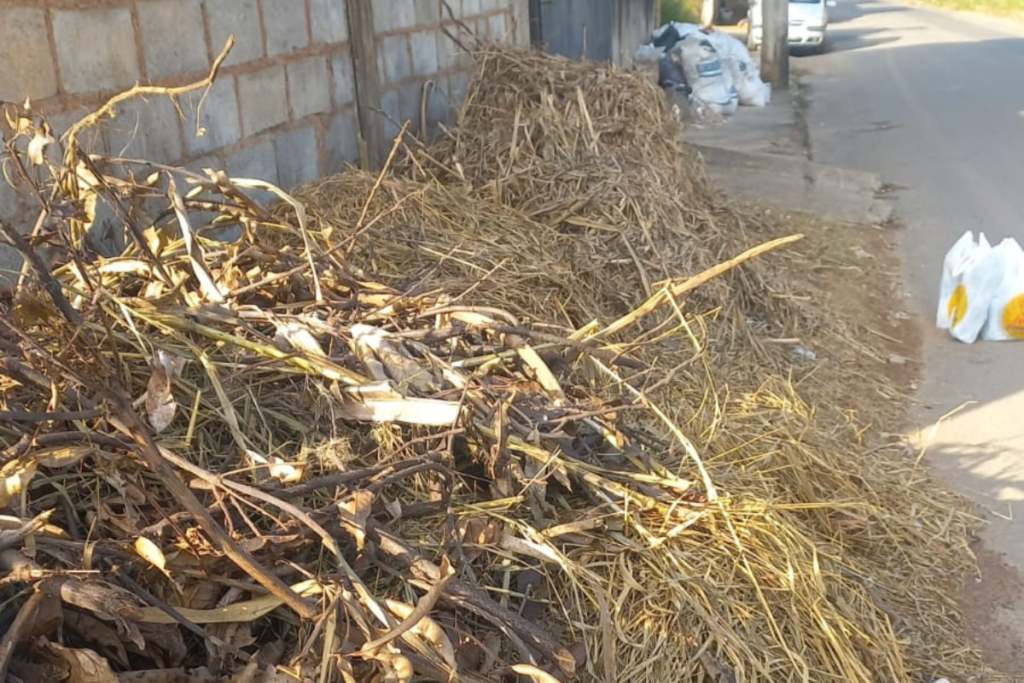 Jardim dos Alfineiros: Resíduos de capina acumulados em avenida preocupam moradores na Zona Norte 1 Design sem nome 6