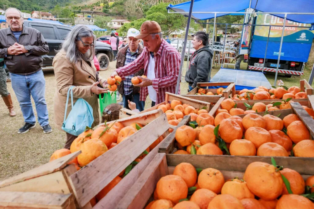Maior produtora de ponkan do Rio promove festa gratuita neste fim de semana 1 festa da ponkan ponkan
