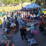 Arraiá da Cidade terá programação gratuita no Parque Municipal