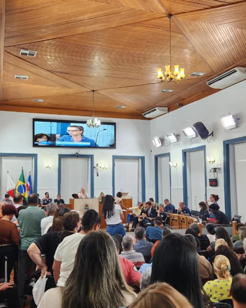 Por JF: Audiência na Câmara debate a reconstrução da cidade 1 audiencia vertical