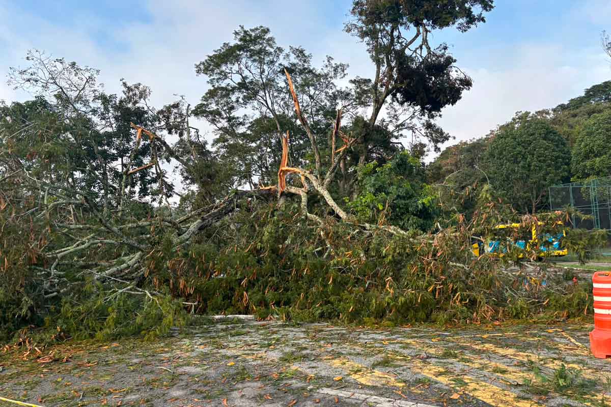 Chuva alaga ruas em Viçosa e causa estragos na UFV 1 Chuva alaga ruas em Viçosa e causa estragos na UFV