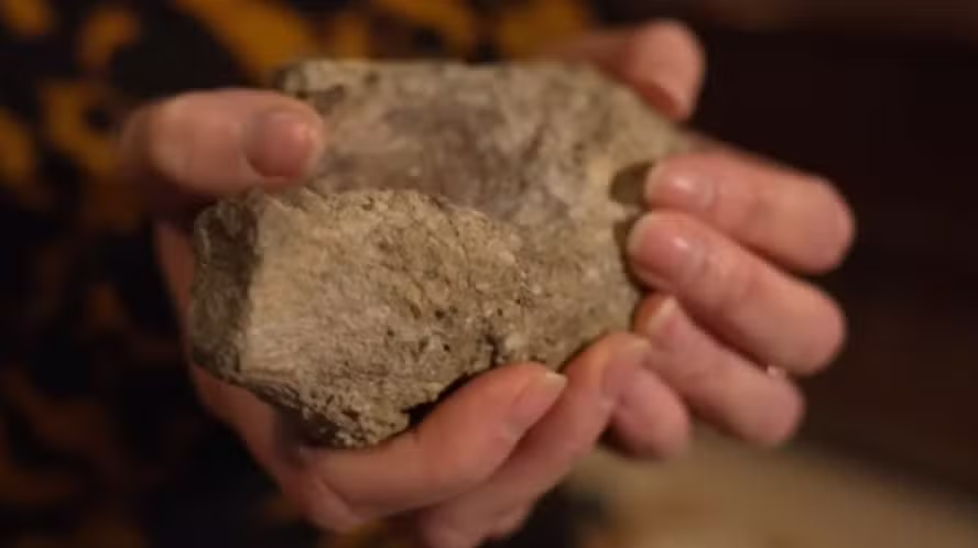 Vértebra esquecida por 40 anos em laboratório revela o primeiro dinossauro já identificado na Antártida