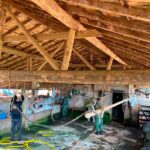 Operação contra abate clandestino resgata 195 suínos no Campo das Vertentes 23 Operação contra abate clandestino resgata 195 suínos no Campo das Vertentes