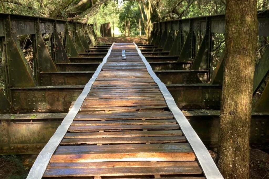 Ponte histórica de 20 metros que desapareceu em Prados é encontrada em Lima Duarte 1 fotos 1 1