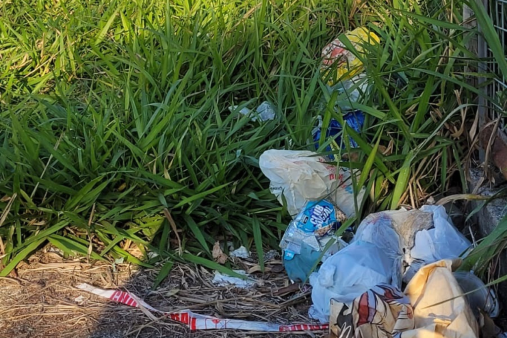 Mato alto impede passagem de pedestres ao lado do Estádio Municipal 2 fotos 12