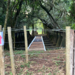 fotos 4