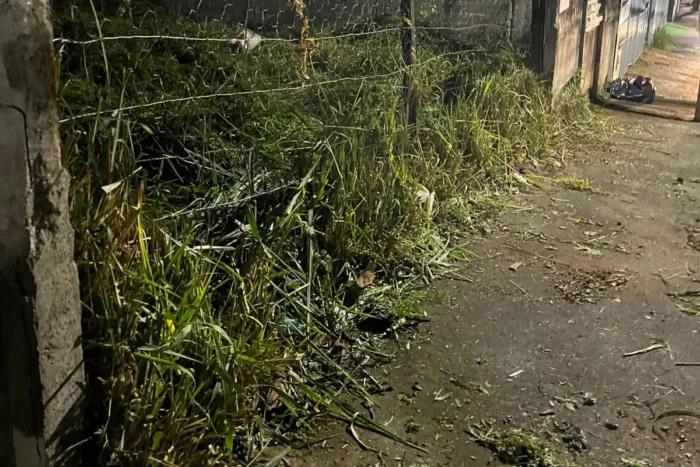 Mato alto invade passeio no Cascatinha e dificulta passagem de pedestres