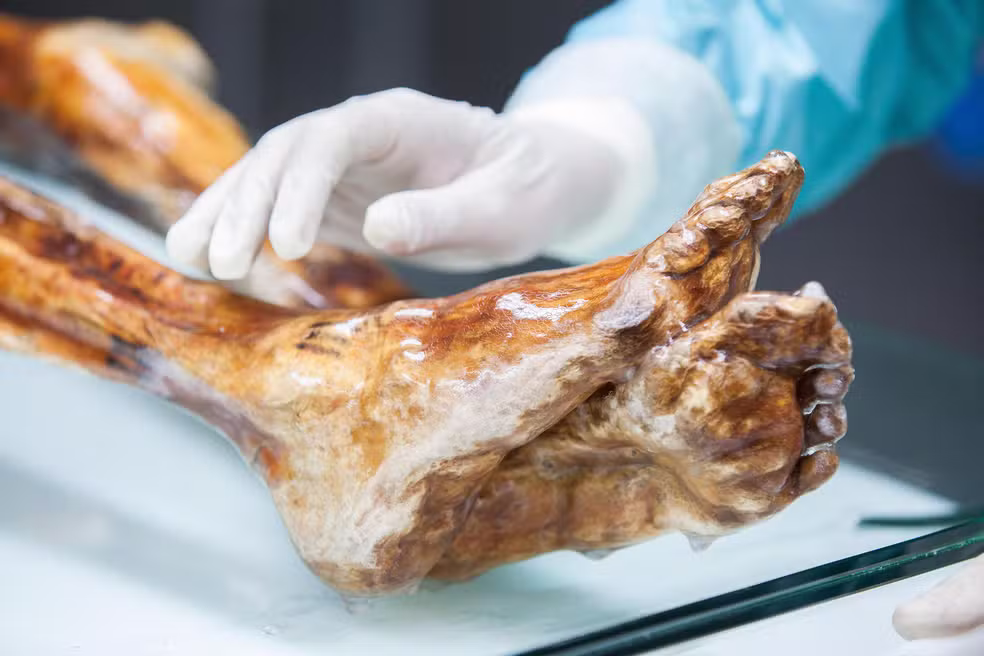 Micróbios em múmia de 5.300 anos atrás continuam vivos e podem multiplicar