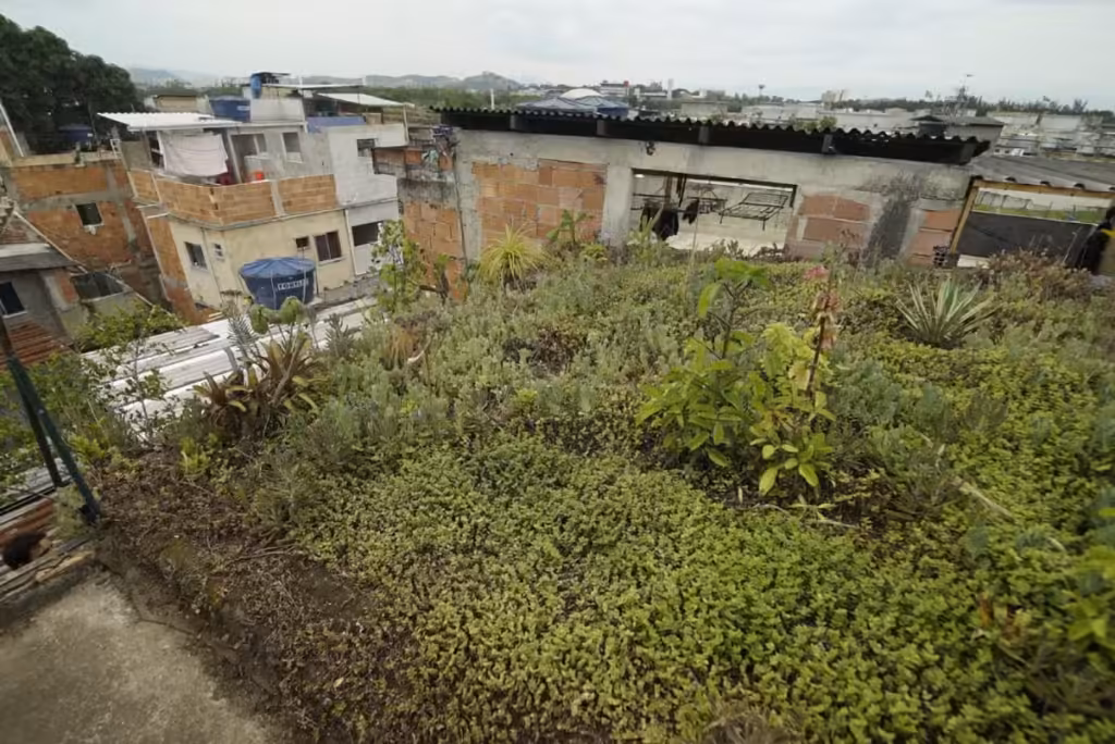 Homem planta jardim em cima de casa em comunidade do Rio de Janeiro para não morrer de calor