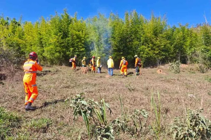 VÍDEO: Queima prescrita é realizada em área de 8,5 hectares no entorno da Mata do Krambeck 17 queima prescrita