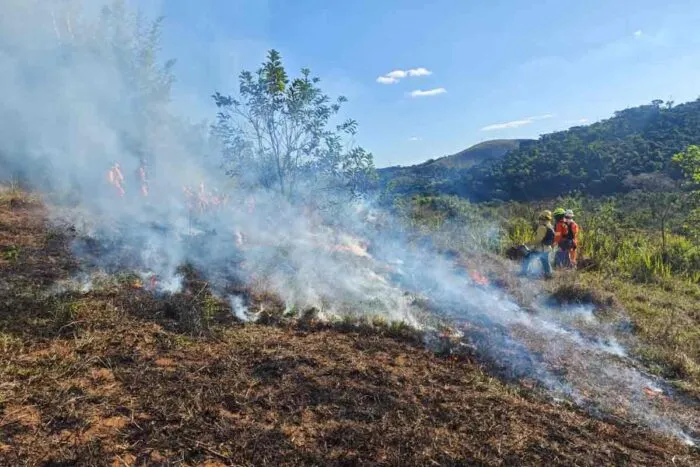 VÍDEO: Queima prescrita é realizada em área de 8,5 hectares no entorno da Mata do Krambeck 16 queima prescrita mata do krambeck