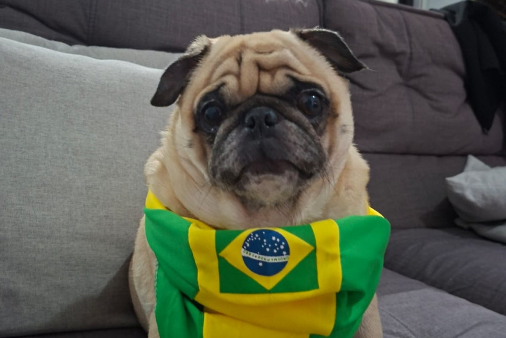 Design sem nome