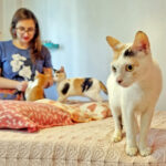 Adoção: mais de mil animais aguardam a chance de ter um lar em Juiz de Fora 51 LAIS E AS GATINHAS ADOTADAS fOTO LEONARDO COSTA 02.jpg