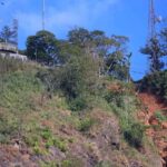 Juiz de Fora tem mais de 80% das florestas com menos de 30 anos; dado ajuda a explicar impactos das chuvas 12 MORRO DO CRISTO LEONARDO COSTA 05
