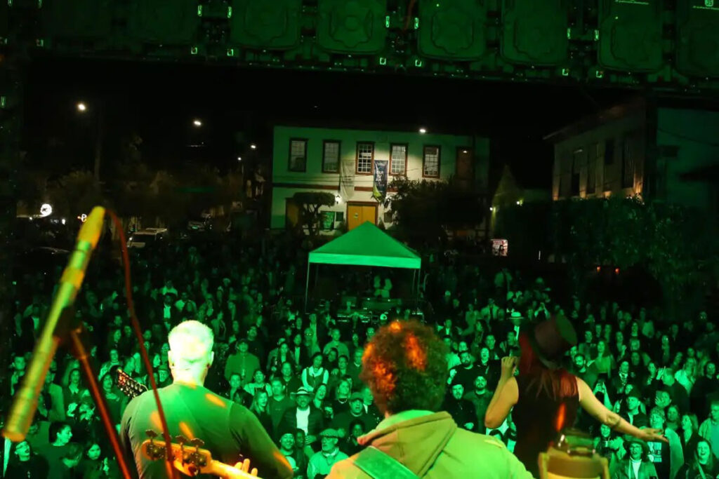viola festival
