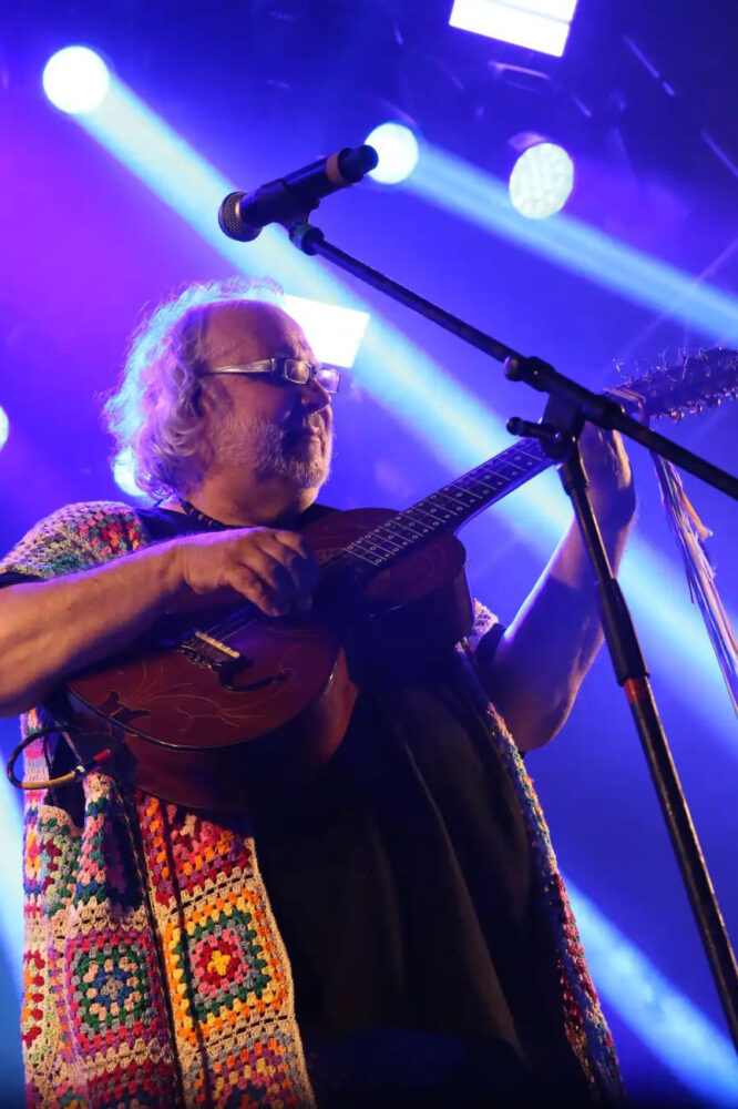 viola festival 