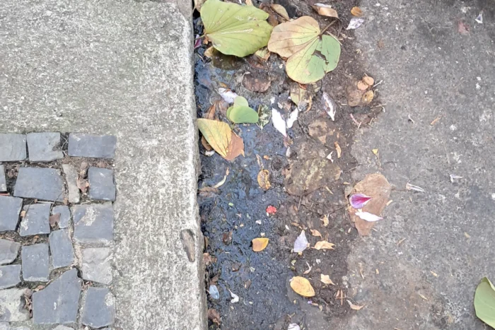 Vazamento em rede de esgoto preocupa moradores do Bairro Santa Helena