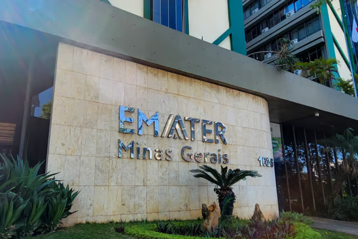 Emater-MG realiza concurso com 120 vagas e salários de até R$ 7,3 mil
