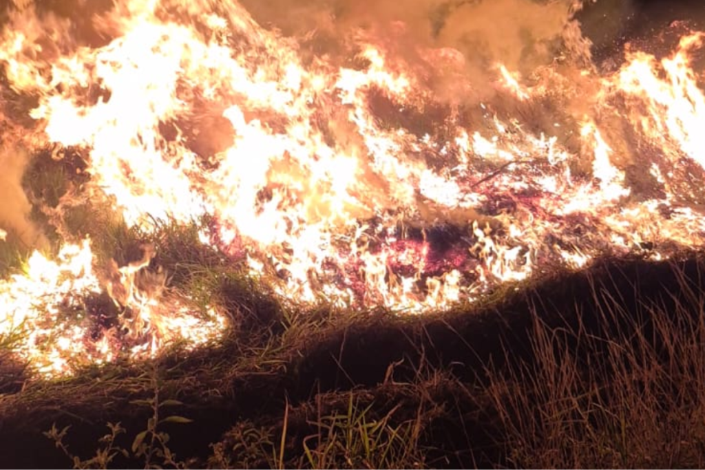 VÍDEO: Curto-circuito provoca incêndio em vegetação em Guarará 1 fotos 7