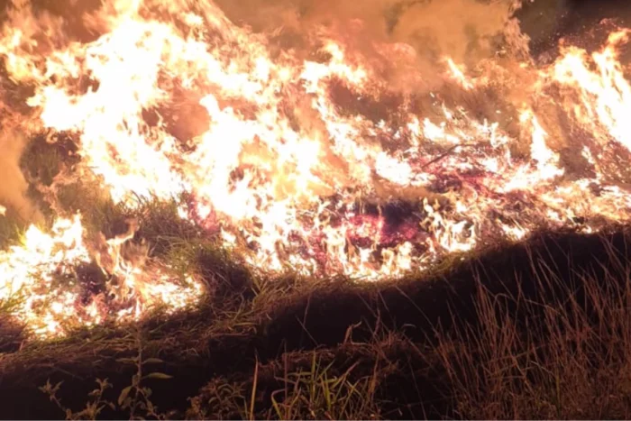 VÍDEO: Curto-circuito provoca incêndio em vegetação em Guarará
