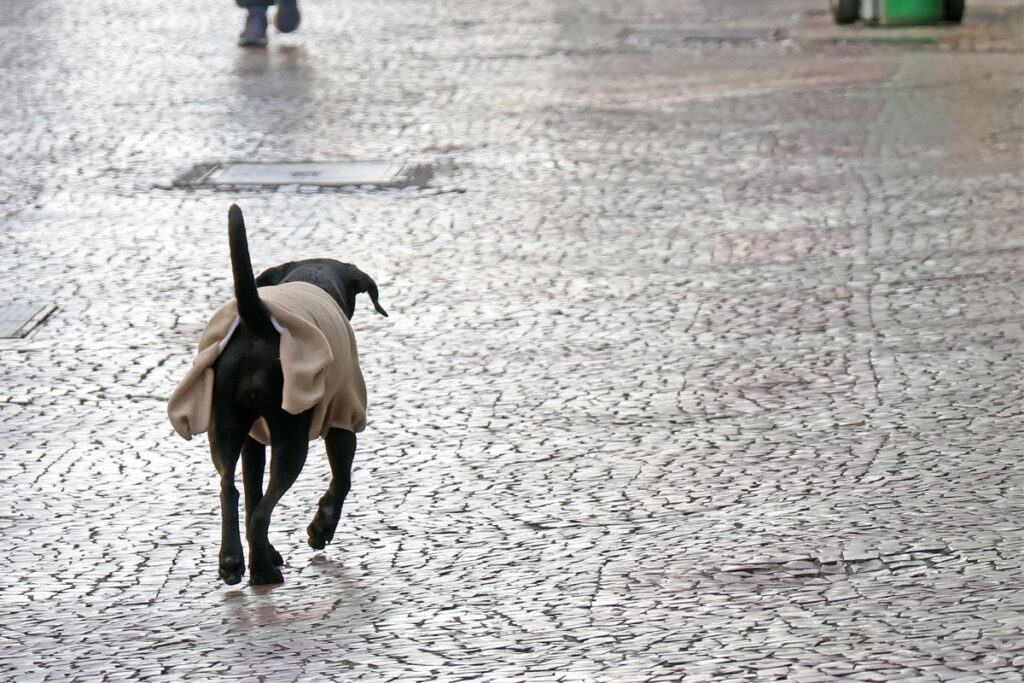 frio juiz de fora foto leonardo costa