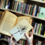 Descubra 5 lugares para encontrar livros em Juiz de Fora