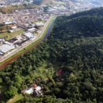 Regeneração do bioma: fragmentos podem ter maior potencial que florestas isoladas 9 Design sem nome