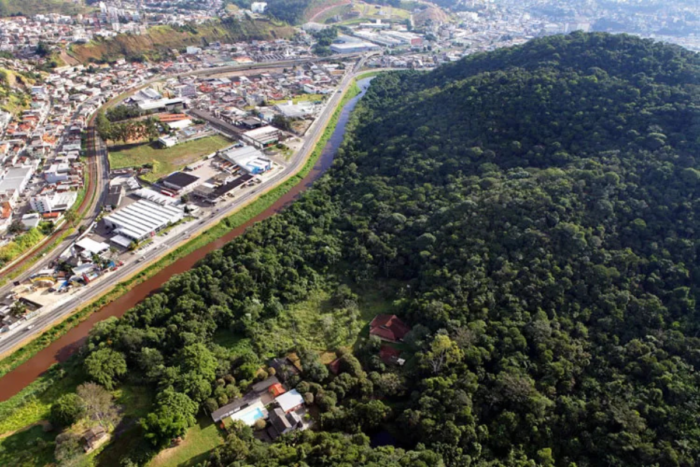 Regeneração do bioma: fragmentos podem ter maior potencial que florestas isoladas 1 Design sem nome