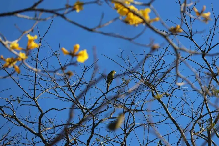 Calor pode chegar a 36 graus no fim de semana em Juiz de Fora