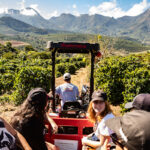 Do cafezal à xícara: conheça o turismo do café no Caparaó Mineiro 18 Do cafezal à xícara: conheça o turismo do café no Caparaó Mineiro