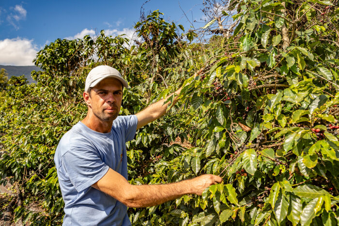 Do cafezal à xícara: conheça o turismo do café no Caparaó Mineiro 4 caparaiso coffee plantacao patrick arley