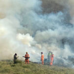 Incêndio atinge 35 hectares da zona de amortecimento do Parque Estadual Mata do Krambeck, em Juiz de Fora 12 incendio mata krambeck foto bombeiros