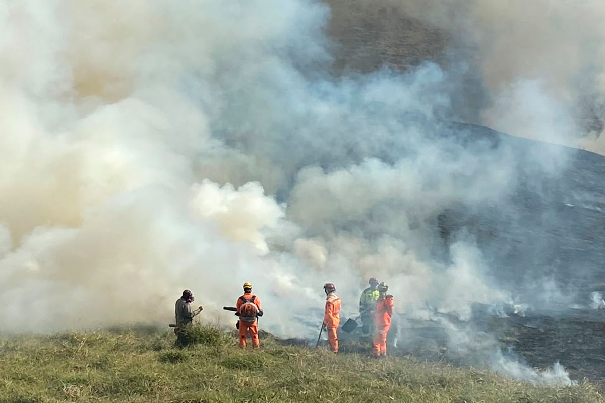 Incêndio atinge 35 hectares da zona de amortecimento do Parque Estadual Mata do Krambeck, em Juiz de Fora