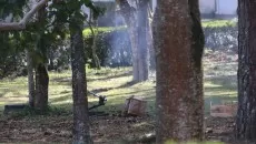 bomba detonada